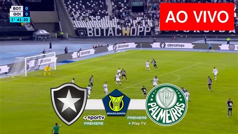 botafogo ao vivo no youtube